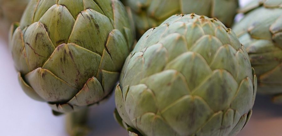 Artichoke 1A