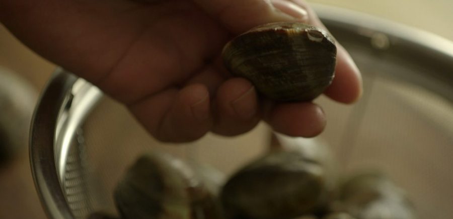 Clam 1 1