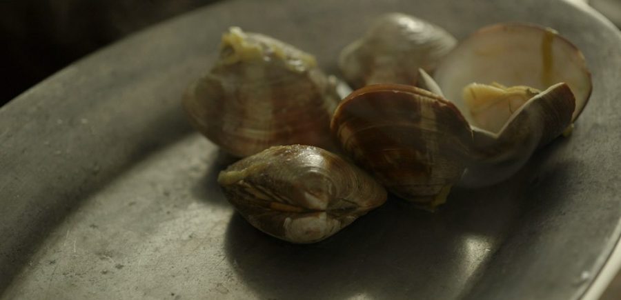 Clam 4 1