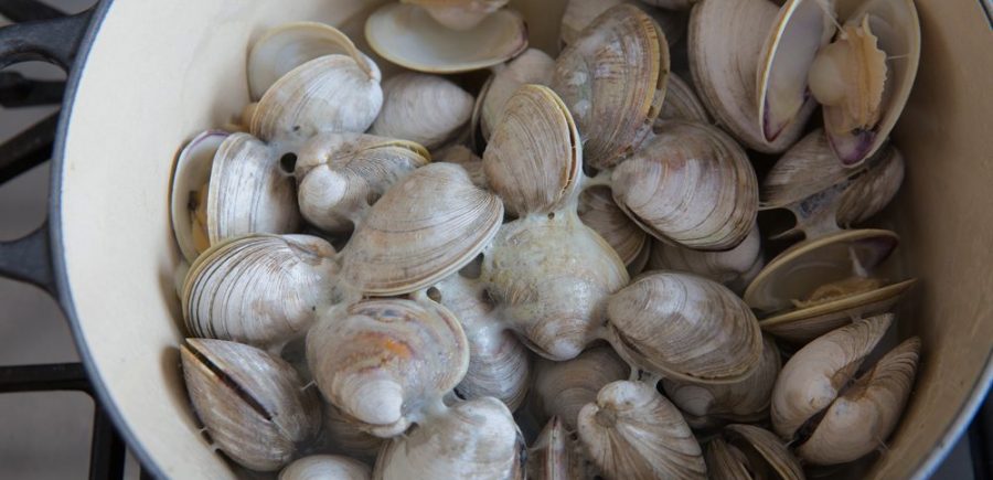 Clam Chowder 1