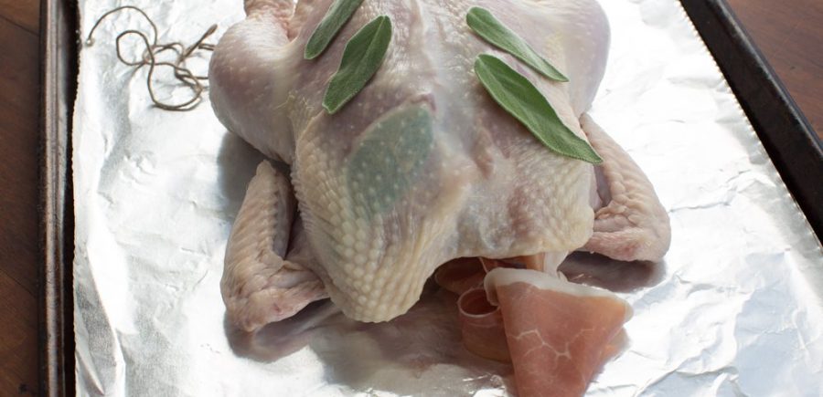 Copy of Chicken 1