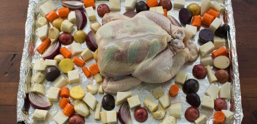 Copy of Chicken 2