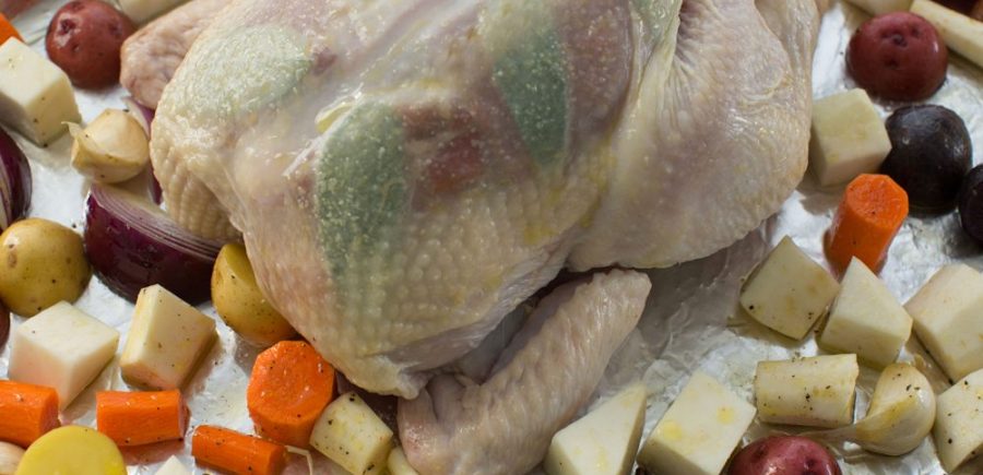 Copy of Chicken 3