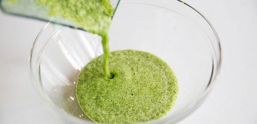 Cuke Soup 3