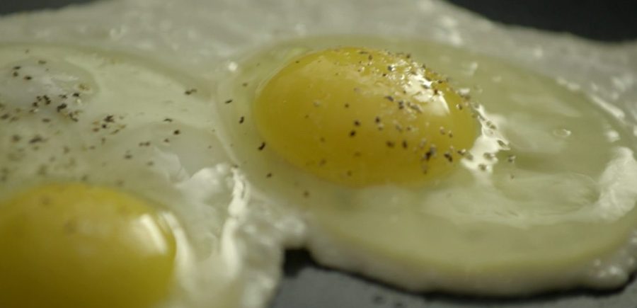 Egg 2