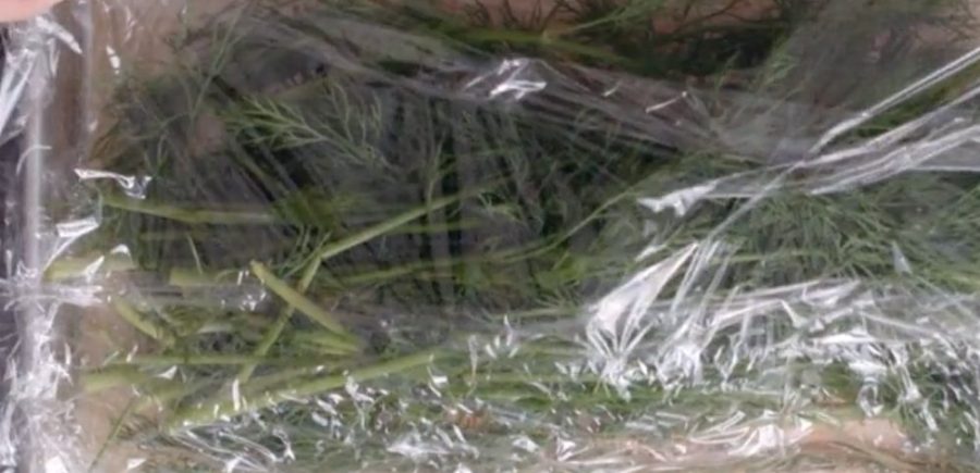 Gravlax 3