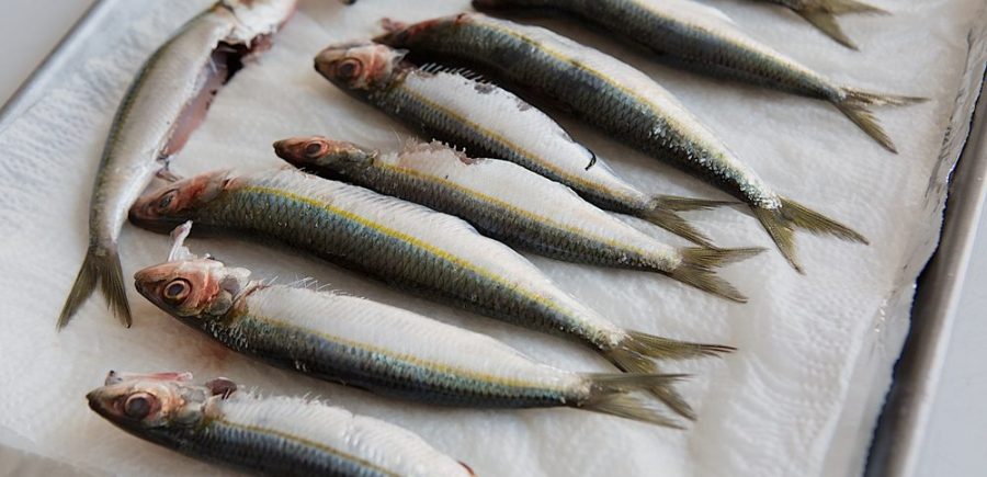 Grilled Sardines 1