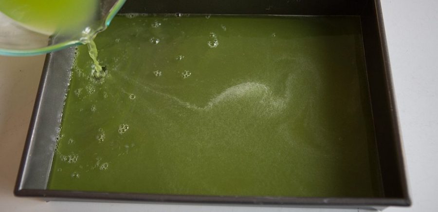 Honeydew Granita 2