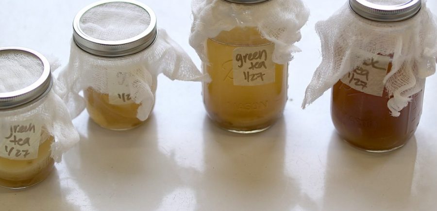 Kombucha 1