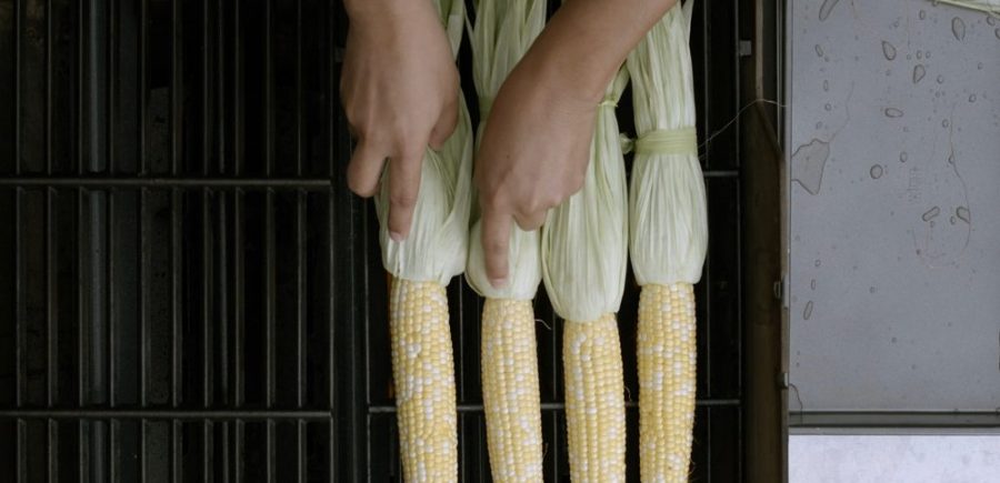 Mexican Corn 2