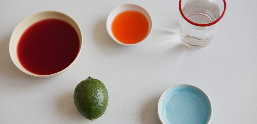 Mezcal Hibiscus Cocktail 3