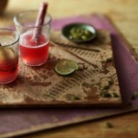 Mezcal Hibiscus Slushie A please use on website