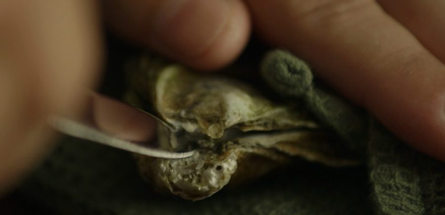 Oyster 2