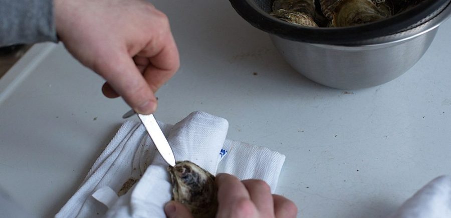 Oysters 2 1