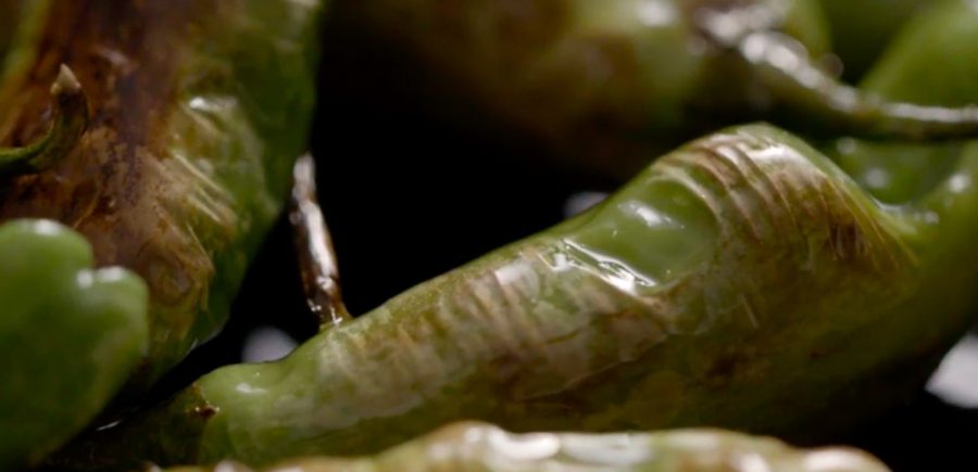 Shishitos 3