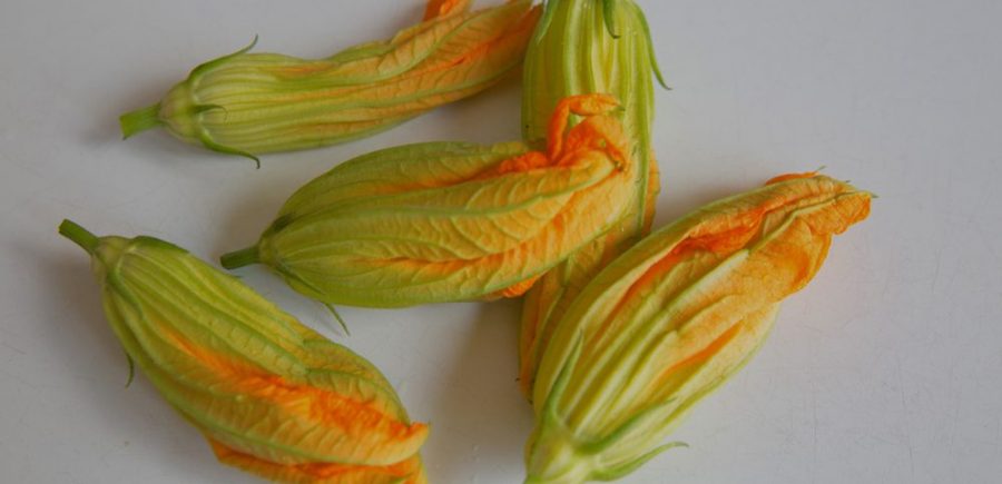 Stuffed Squash Blossoms 1