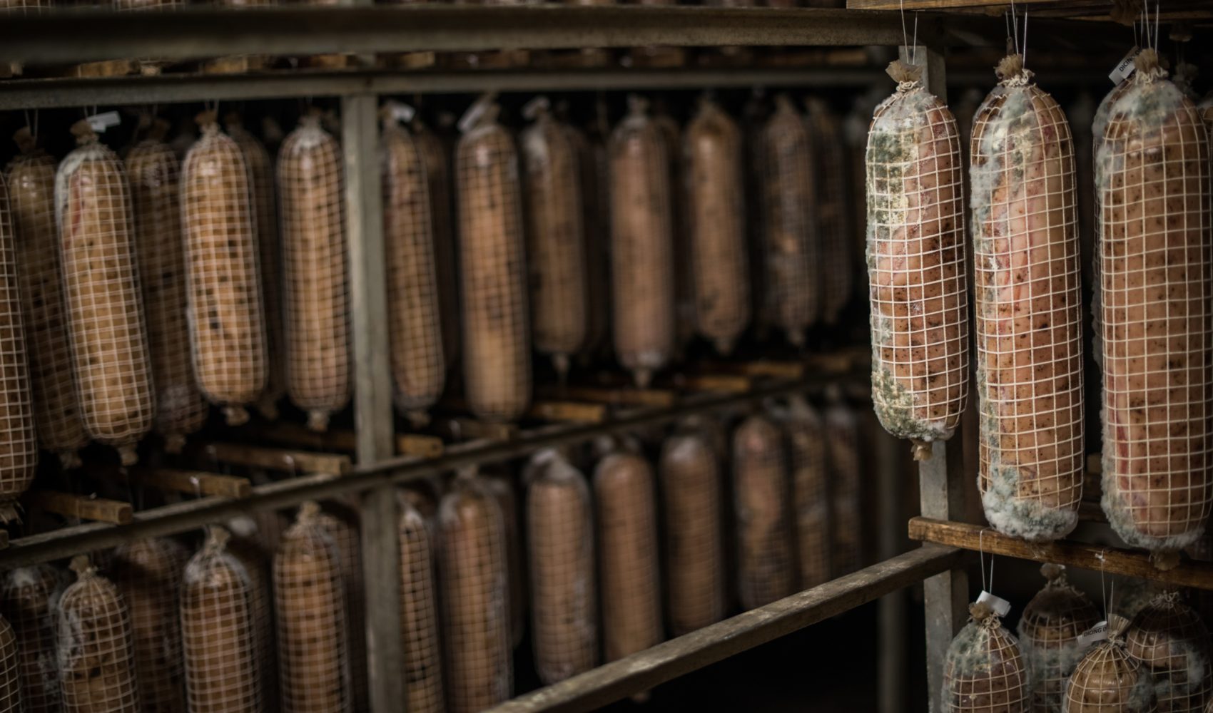 Volpi Foods pancetta curing scaled 1